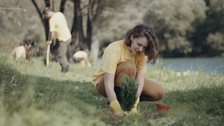 Best Organic Lawn Care Solutions  in Garberville, CA